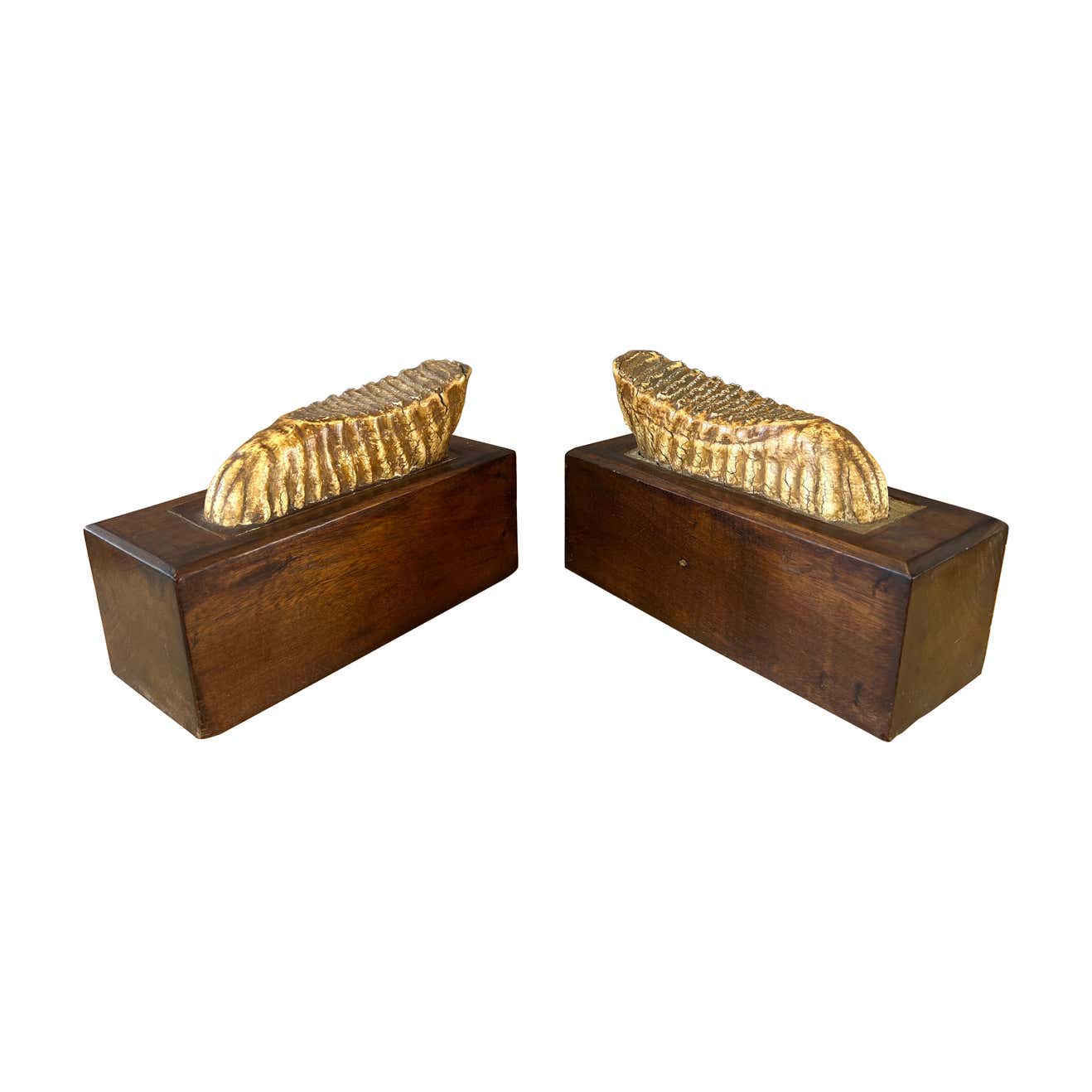 Pair Of Art Deco Brass Scalloped Shell Bookends